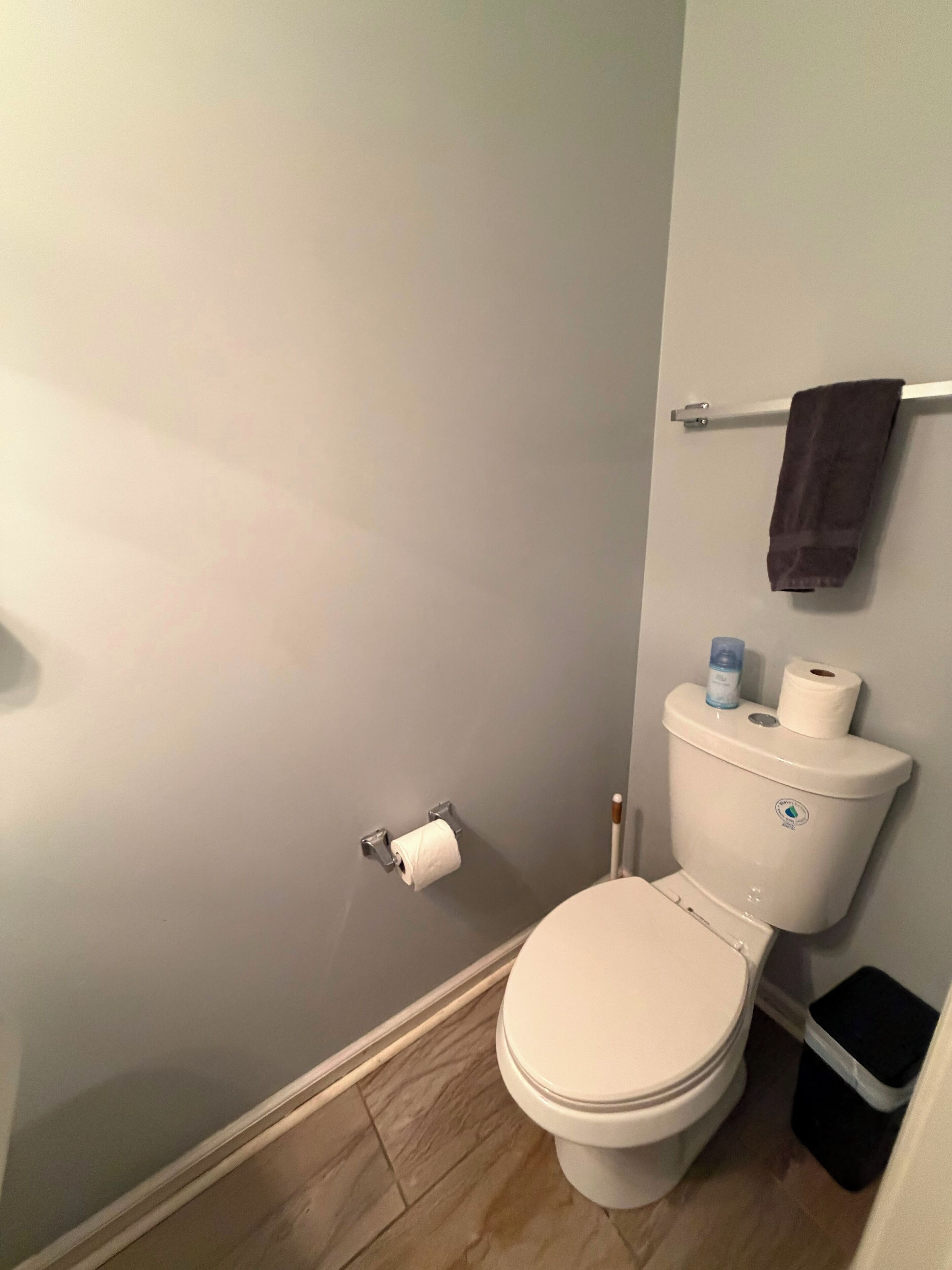 Ein Badezimmer mit Toilette, Handtuchhalter und Mülleimer.