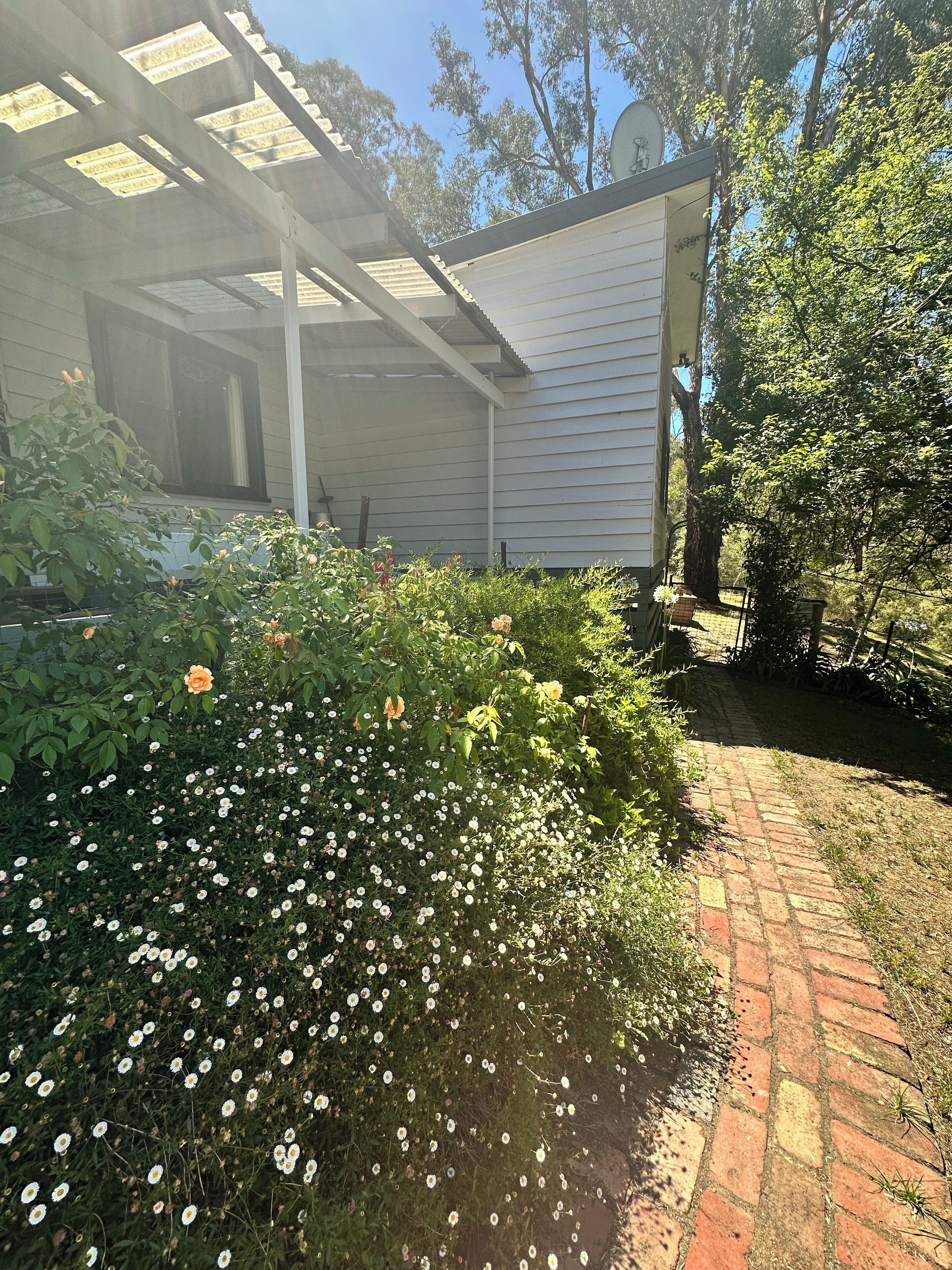 Área da propriedade