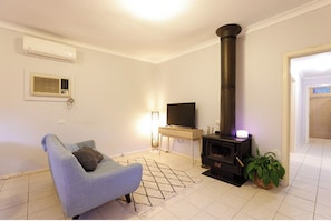 Smart TV, fireplace, video games, computer monitors