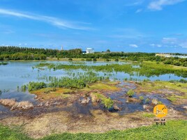 舒适公寓, 阳台, 部分湖景 | 露台