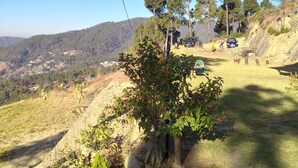 A hillside with a clear view of a valley, a few trees, and a distant building. - Binsar View Homestay (Almora)