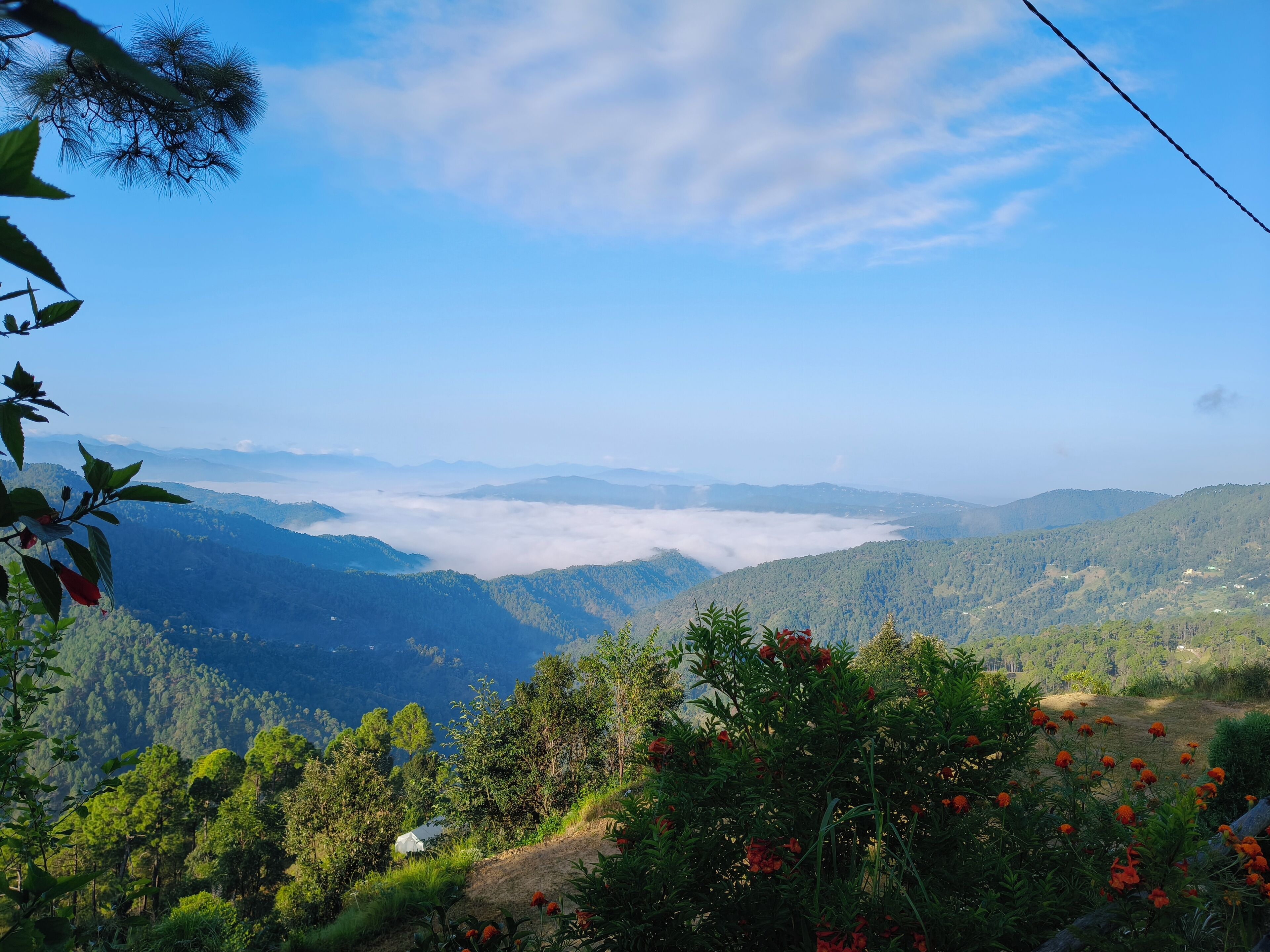 A mountainous landscape with dense forests and a clear sky.