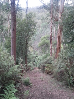 Outdoor banquet area - Near and Far Nature Stay (Neerim East)