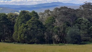Un paisaje con diversos árboles y una cadena montañosa distante bajo un cielo despejado.