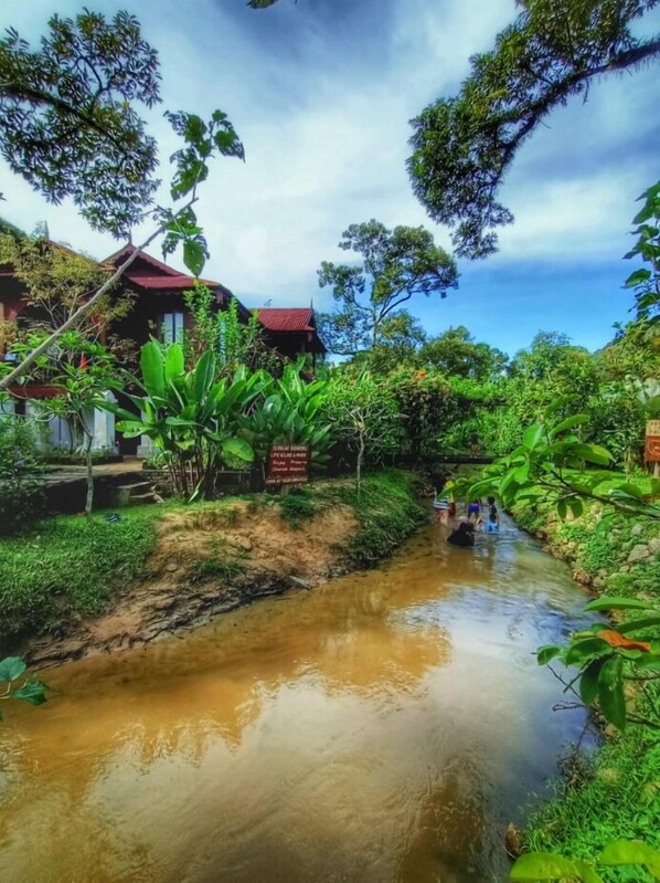 Een rivier met een huis aan de linkerkant en weelderige begroeiing aan beide oevers.