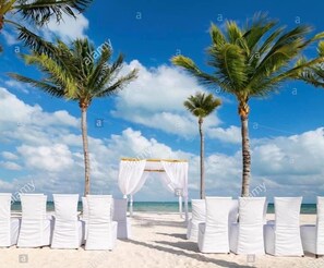 On the beach, sun loungers, beach towels - Siesta Key Cottage – Best Value! Just Cross the Street to the Gulf! (Siesta Key)