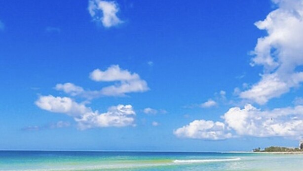 A beach with clear turquoise water and a white sandy shore. - Siesta Key Cottage – Best Value! Just Cross the Street to the Gulf! (Siesta Key)