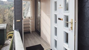 A wooden interior with a door leading to a balcony, a small shelf with a plant, and a black mat at the entrance. - Waldblick by Interhome (Winterberg)