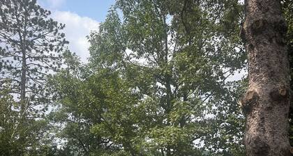 New 4-Bedroom, 2-Bath Cabin on 2,400-Acre Bay Lake â Brainerdâs Best-Kept Secret