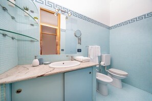 Shower, hair dryer, bidet, towels