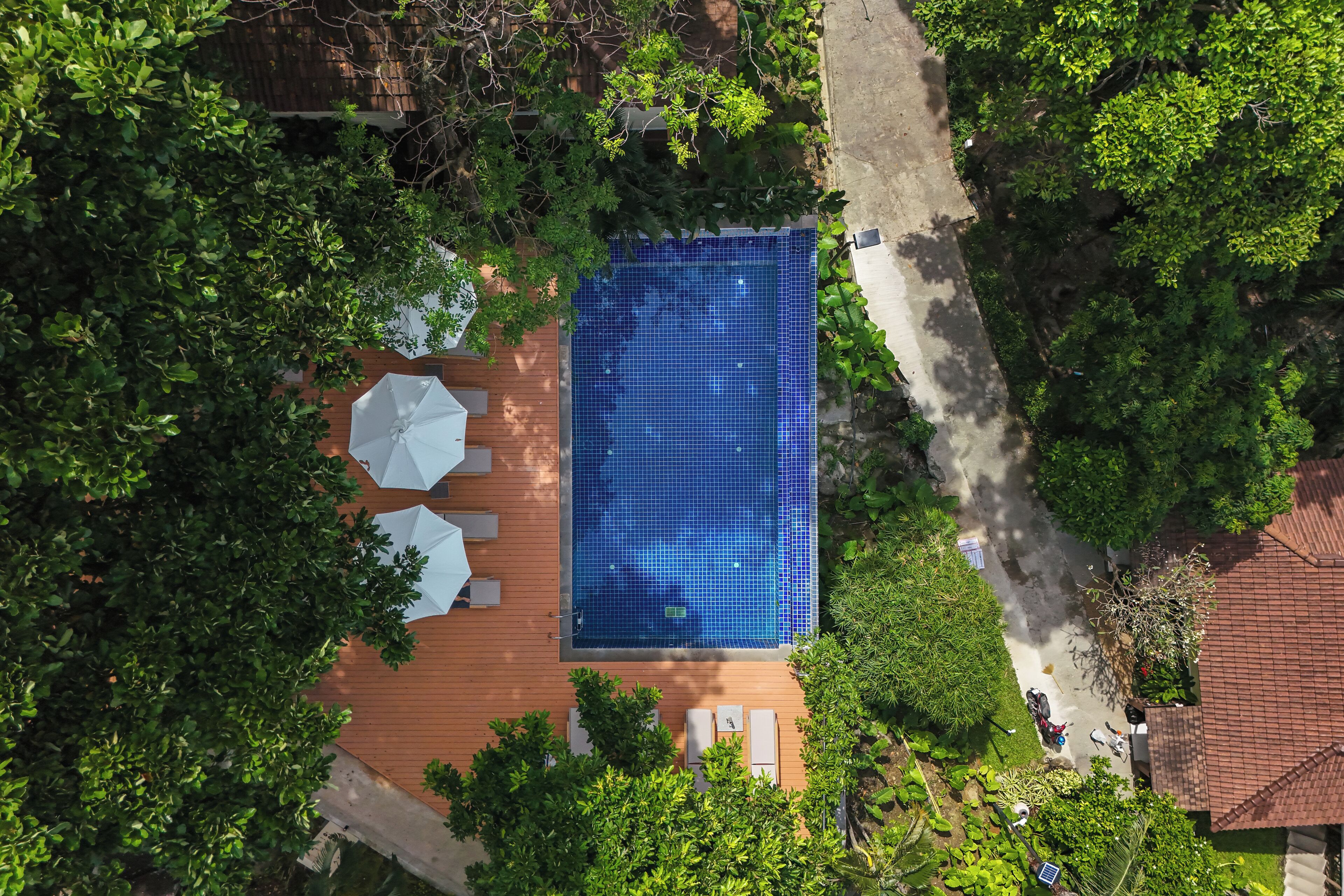 Vista aérea de una piscina rectangular rodeada de exuberante vegetación, con una terraza de madera y zona de estar al aire libre.