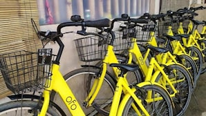 Een rij gele elektrische fietsen met mandjes, geparkeerd voor een gebouw.