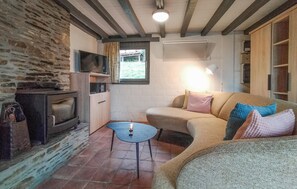 TV, fireplace, DVD player
