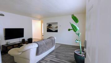 En stue med et fladskærms-tv, en sofa, en stueplante og et billede på væggen.