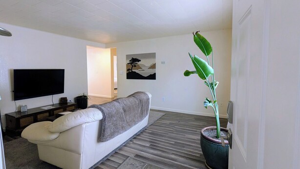 Una sala de estar con una televisión de pantalla plana, un sofá, una planta en maceta y un cuadro en la pared.