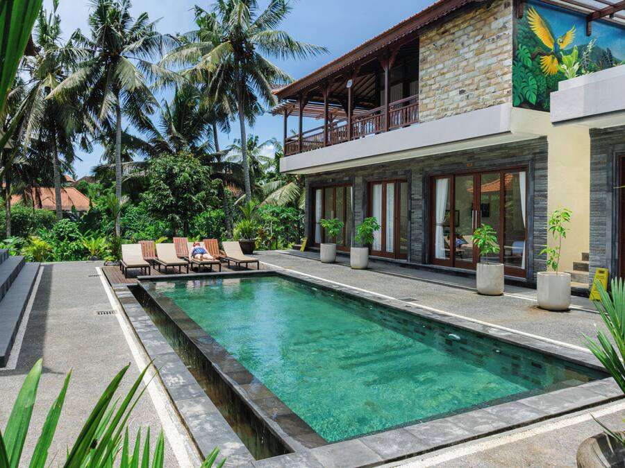 Outdoor pool, sun loungers