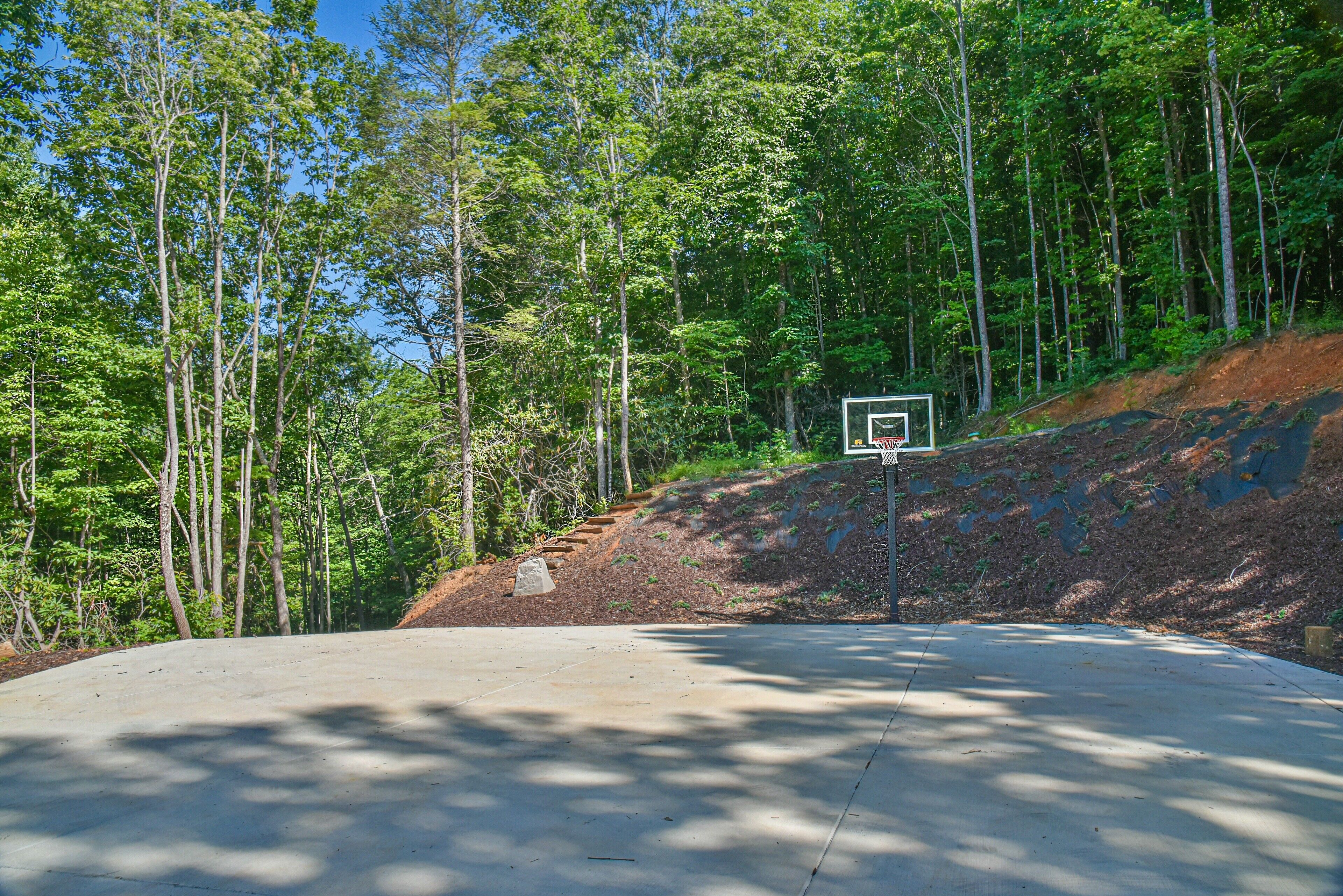 A basketball court with a hoop, surrounded by a wooded area.