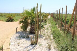 Jardines del alojamiento