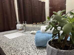 Hair dryer, towels, soap, toilet paper