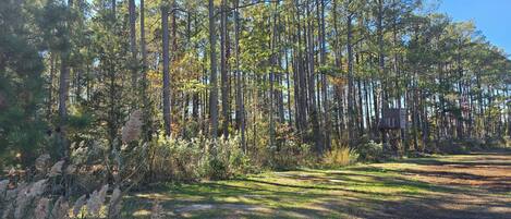 Overnattingsstedets uteområder