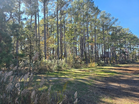 Áreas de la propiedad. RV Site On Blanchard Farm -MAX RV LENGTH 24 FT