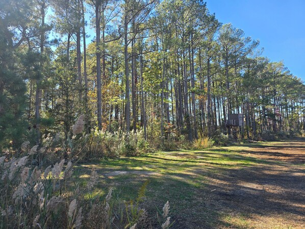 Property grounds - RV Site On Blanchard Farm -MAX RV LENGTH 24 FT (Diggs)