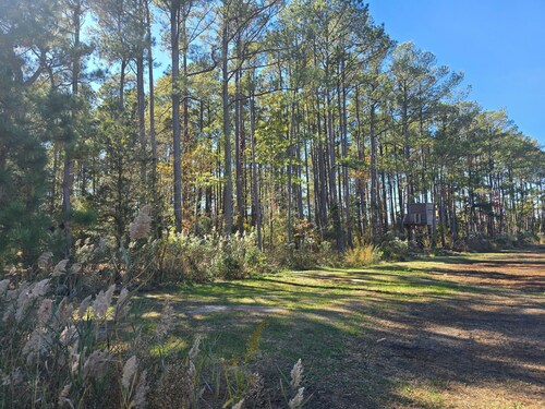 RV Site On Blanchard Farm -MAX RV LENGTH 24 FT