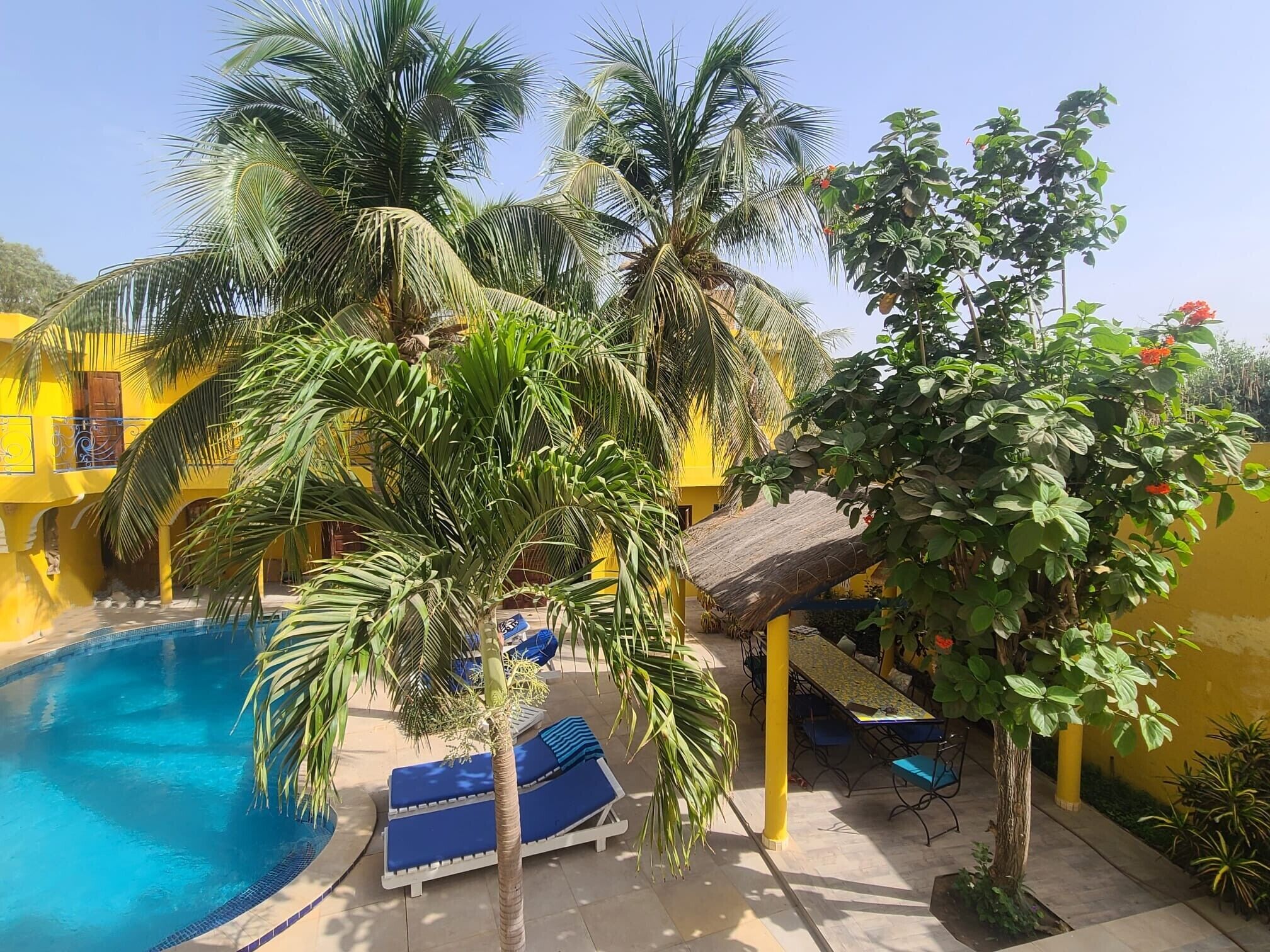 A pool area with lounge chairs and palm trees.