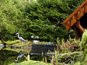 Exterior detail - Beautiful apartment for 4 guests with WIFI, TV, balcony, pets allowed and panoramic view (Clausthal-zellerfeld)