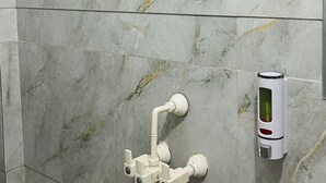A bathroom with a shower, a toilet, and a soap dispenser. - Hotel Shree Radham By GRB (Mathura)