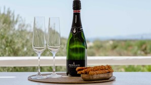 A bottle of Ferrari Maximum wine, two glasses, and a bowl of snacks on a table with a scenic view.