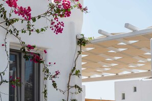 Detall de l'exterior