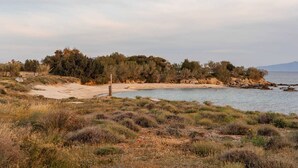 Un paysage côtier avec une plage de sable, un petit plan d’eau et une colline boisée en arrière-plan.
