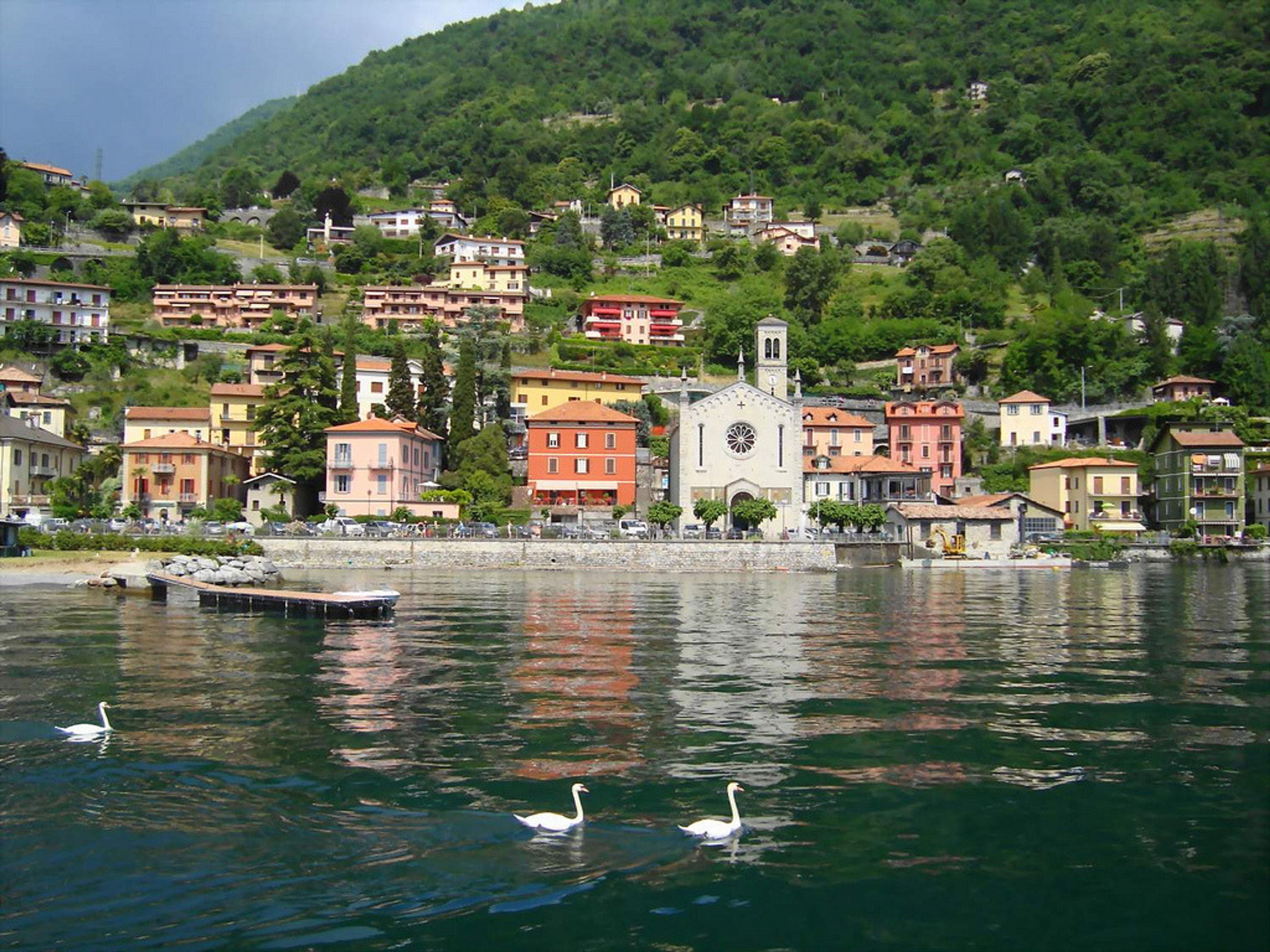 A waterfront town with buildings along the shore, a church with a bell tower, and swans swimming in the water.