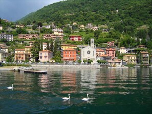 A waterfront town with buildings along the shore, a church with a bell tower, and swans swimming in the water. - Residence Eden Azalea 2 (Argegno)