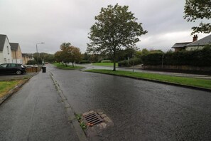 A residential street with houses, a parked car, and a tree.