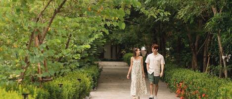 A pathway lined with greenery and flowers, leading to a building.