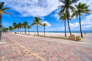 A paved walkway lined with palm trees leading to a beach.
