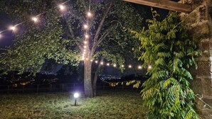 Un árbol con luces de cuerda y un foco en una zona cubierta de césped.