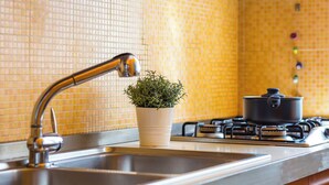 A kitchen with a stainless steel sink, a potted plant, and a stove. - Montesanto Apartment by Wonderful ltaly (Naples)