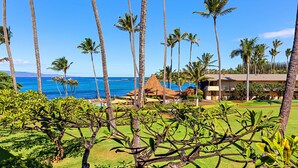 Property grounds - Delightful Oceanfront 1bd in Napili steps to beach (Lahaina)