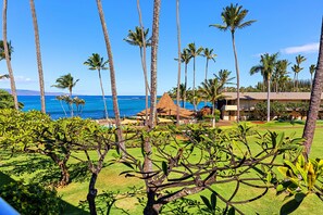 Property grounds - Delightful Oceanfront 1bd in Napili steps to beach (Lahaina)
