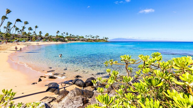 A beach with clear turquoise water, palm trees, and rocky outcrops. - Delightful Oceanfront 1bd in Napili steps to beach (Lahaina)