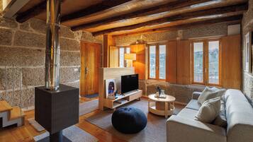 Smart TV, fireplace, books