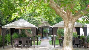 Een tuinpatio met tafels en stoelen onder pergola's, een centrale looppad en een grote boom.
