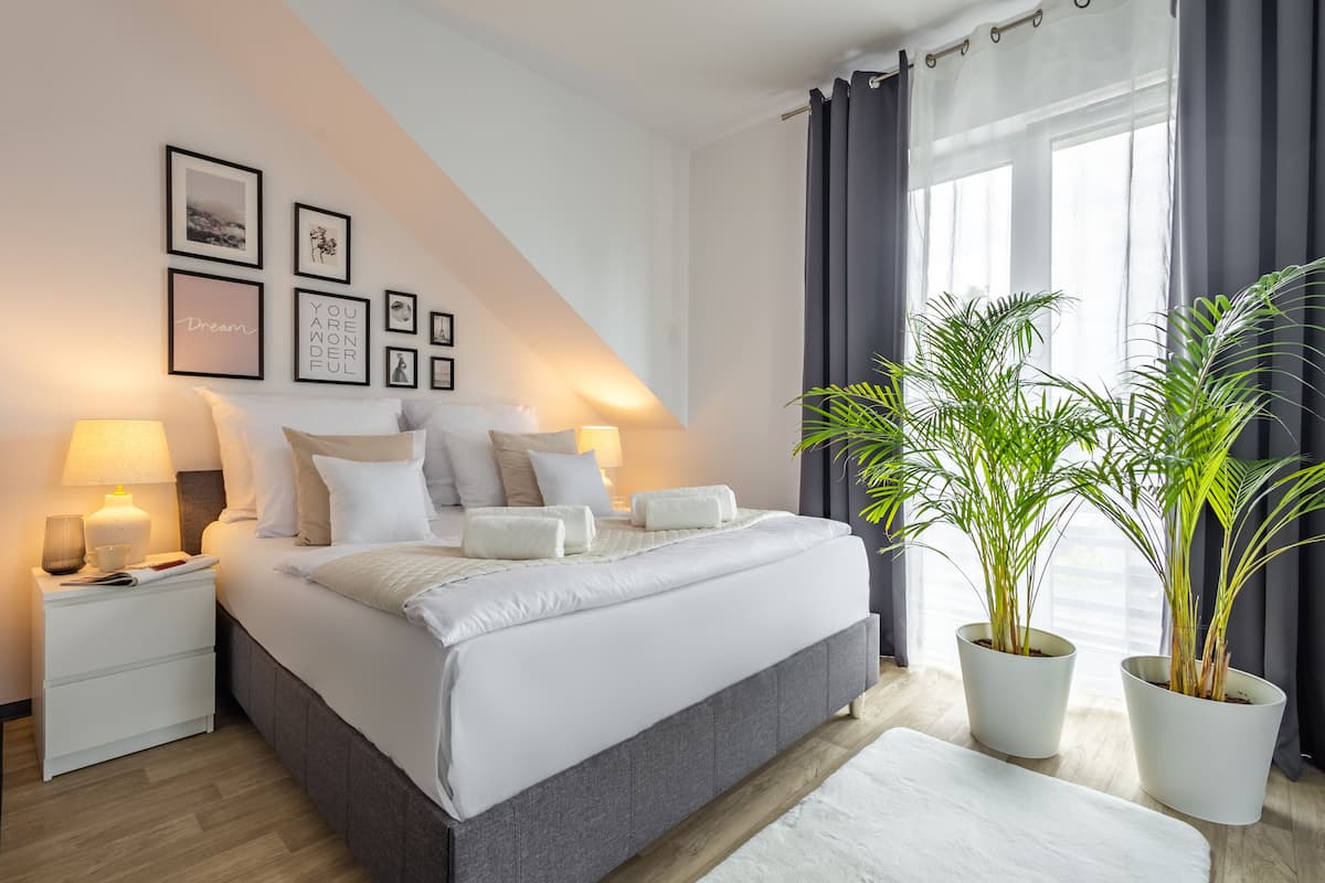 Un dormitorio moderno con una cama grande, mesitas de noche con lámparas, cuadros en la pared y dos macetas.