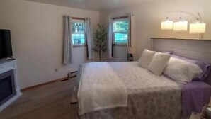 A bedroom with a bed, a television, a plant, and a window with curtains.