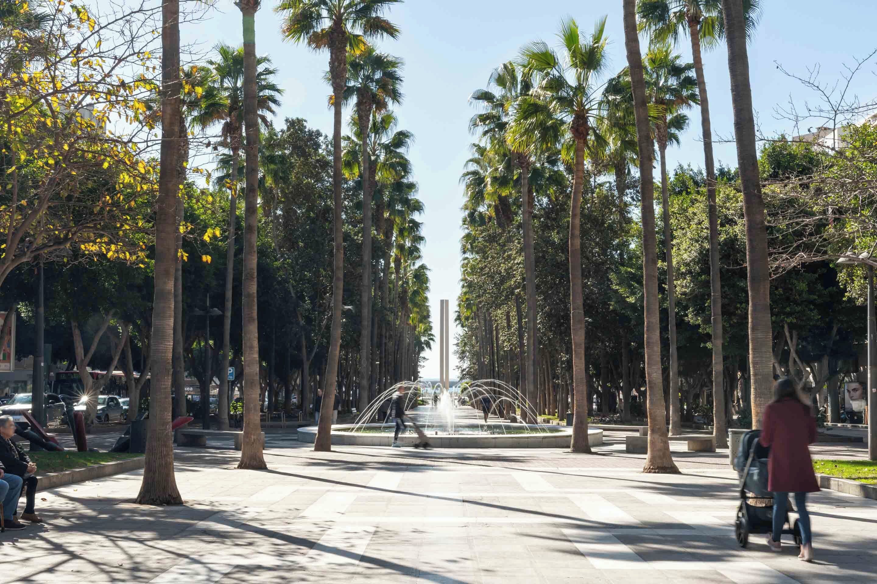 A park with tall palm trees, a fountain, and a statue in the center.