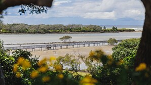 A coastal view with a wooden pier extending into the water, surrounded by dense greenery and a clear sky. - Hidden Gem - 150m from Urunga Sea Lido (Urunga)