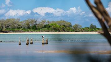 Beach nearby
